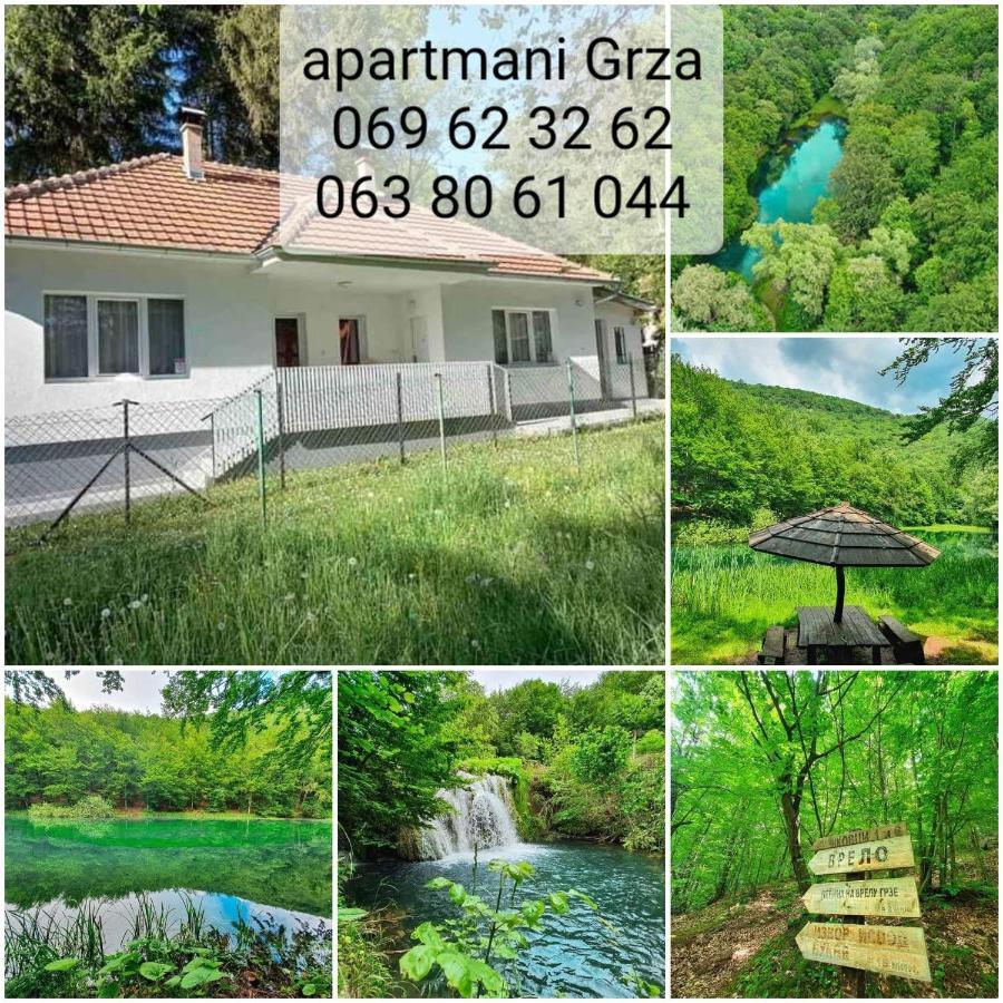 Apartmani Grza Paraćin Exterior foto