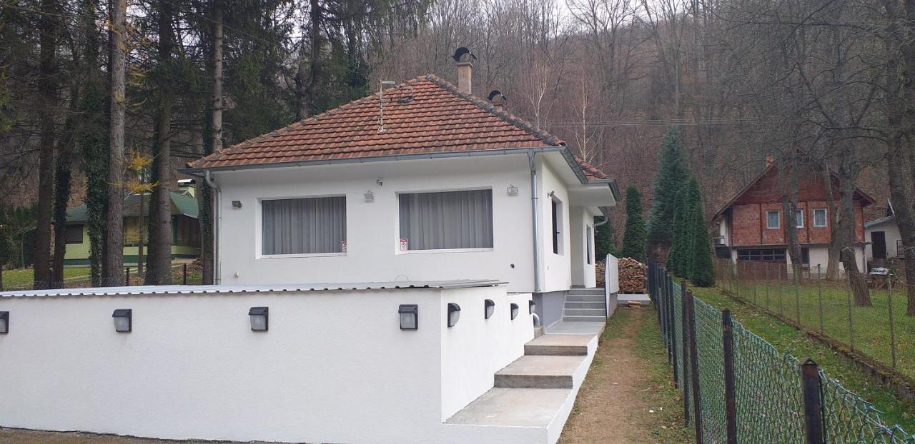 Apartmani Grza Paraćin Exterior foto